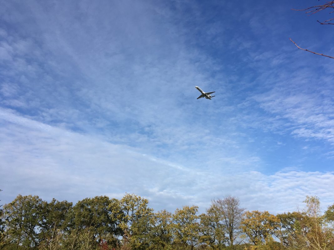 Vliegtuig boven bomen