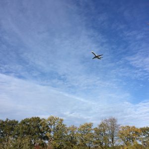 Vliegtuig boven bomen